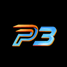 P3